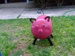 PinkandBlack.jpg