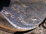 2010_0121tank0002.JPG