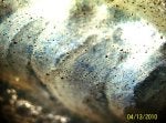 Sand blasted alum - welded.jpg
