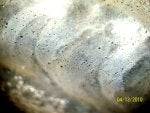 Picture 002-1.jpg
